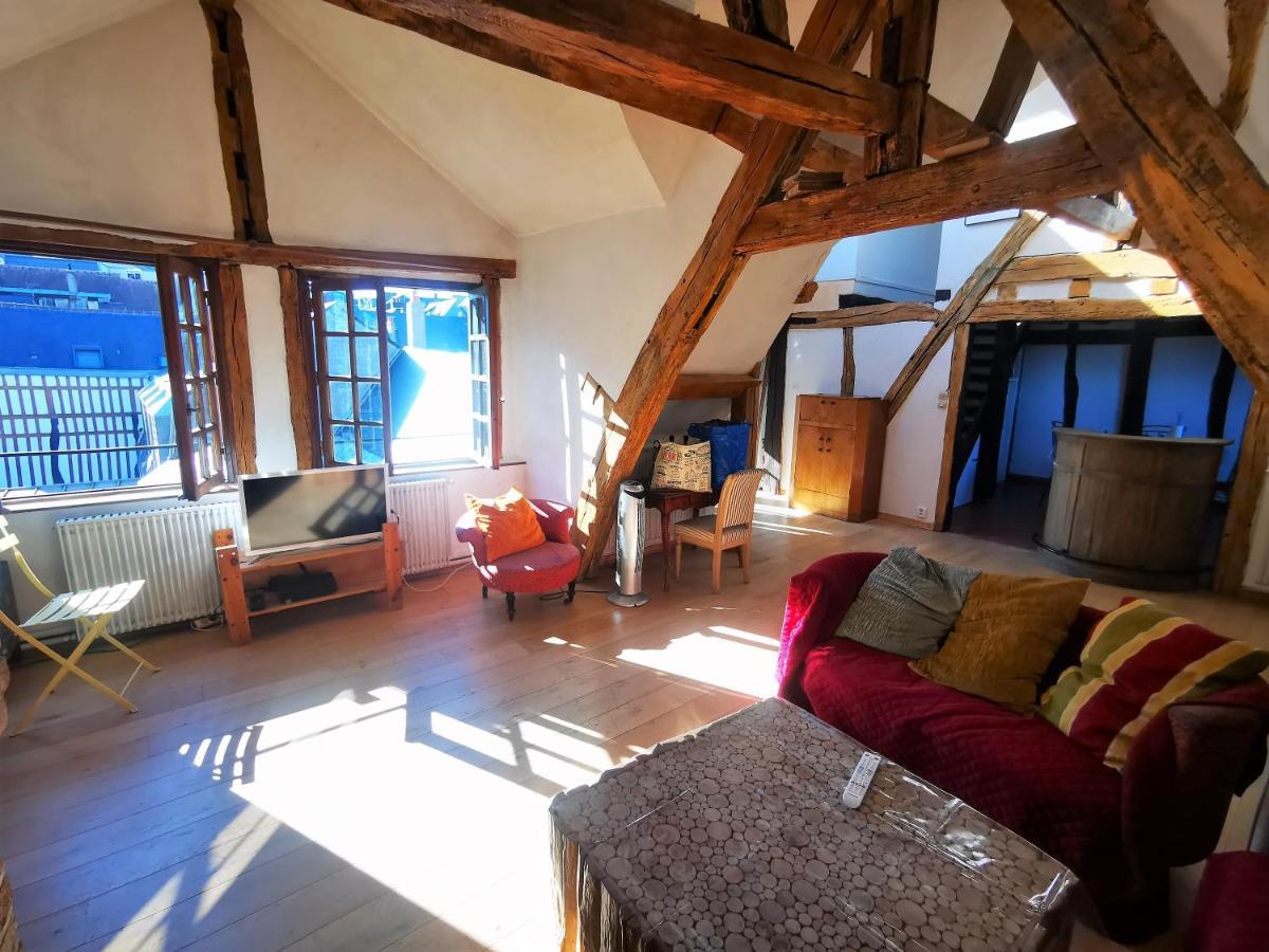 Les Toits De Rouen ✧ Atypique Et Familial Lejlighed Eksteriør billede
