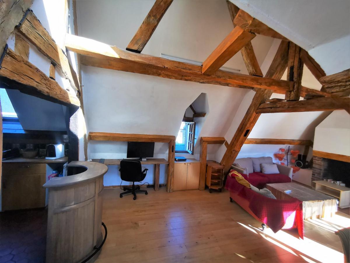 Les Toits De Rouen ✧ Atypique Et Familial Lejlighed Eksteriør billede